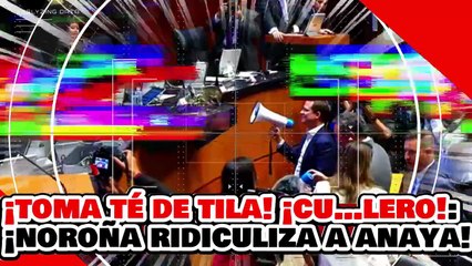 🔥🚨¡TOMEN TÉ DE TILA! ¡CU…LEROS! ¡NOROÑA y MORENA RIDICULIZAN al CALDERONCITO ANAYA y SUS PANARKOS!