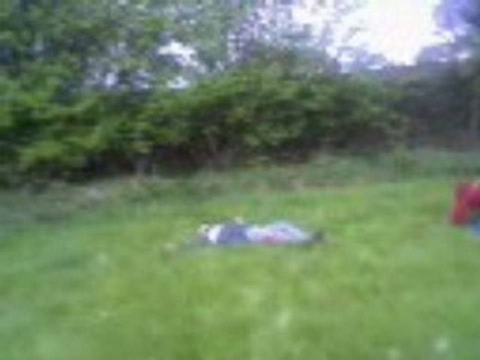 Sortie de bois dangeureux