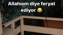 Bu sıcakta bu kediye %100 hak verilir 🥲