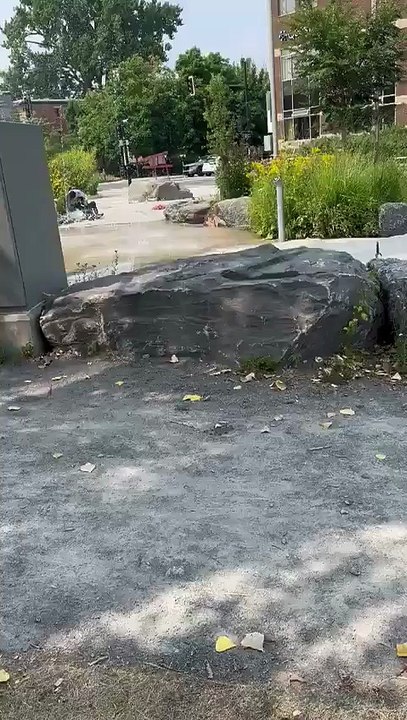 Antisémitisme : Horreur et colère après les images d'un père de famille juif frappé à coups de poings dans un parc alors qu'il se promenait avec ses enfants - Vidéo