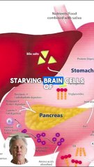 One Simple Trick to Boost Senior Memory Fast