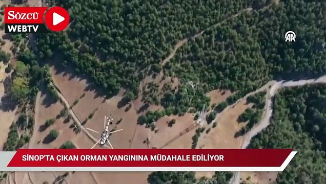 Sinop'taki orman yangınına havadan müdahale başladı!