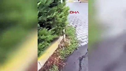 Eyüpsultan’da aracına binerken öldürülen Muammer Öztürk cinayeti kamerada