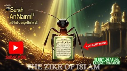 Surah an naml, surah al naml, surah naml