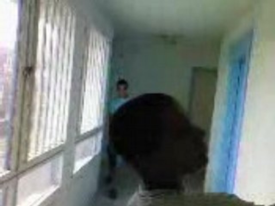 anis et hakim