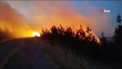 Bir şehir efsanesi: \"Kozalak patlaması\"