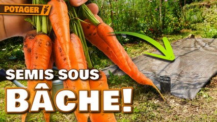 🌱Comment SEMER des CAROTTES🥕 méthode complète + Faux  semis + arrosage + Bâche