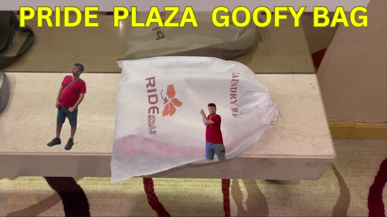 Hotel Pride Plaza GOOFY BAG | Aerocity Delhi | Best Budget 5 Star Luxury Hotel | Near IGI Airport