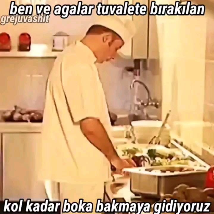 Kol Gibi Bok