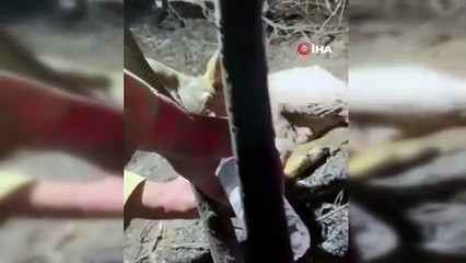 Tapu sahipleri dikkat! Bir sabah uyandığınızda tapunuz elinizden alınmış olabilir!