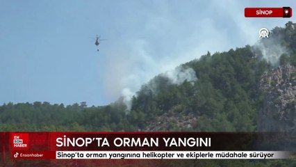 Sinop’ta orman yangınına helikopter ve ekiplerle müdahale sürüyor