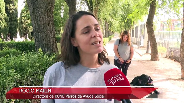 Kuné Perros de Ayuda Social resalta la figura de los perros de asistencia