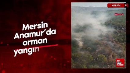 Mersin Anamur’da orman yangını çıktı