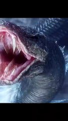 Epic Spirit Beast Fight | Snow Hound vs Huoshe