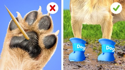 😻 DIY Cat Carrier Sling 🐾 Take Your Kitty Everywhere!