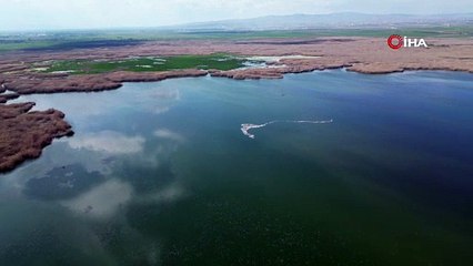 Eber Gölü’nde Pembe Güzellik!