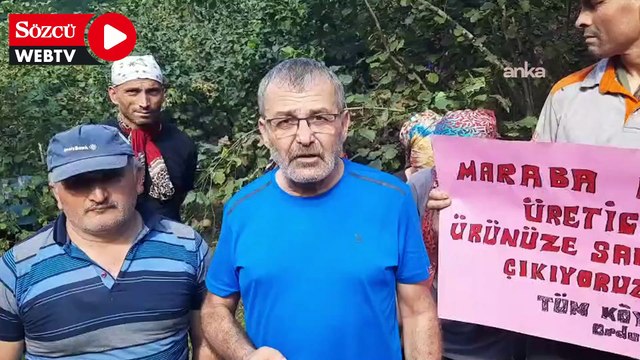 Tüm Köy Sen Ordu Şubesi: Fındık fiyatı en az 300 TL olmalı
