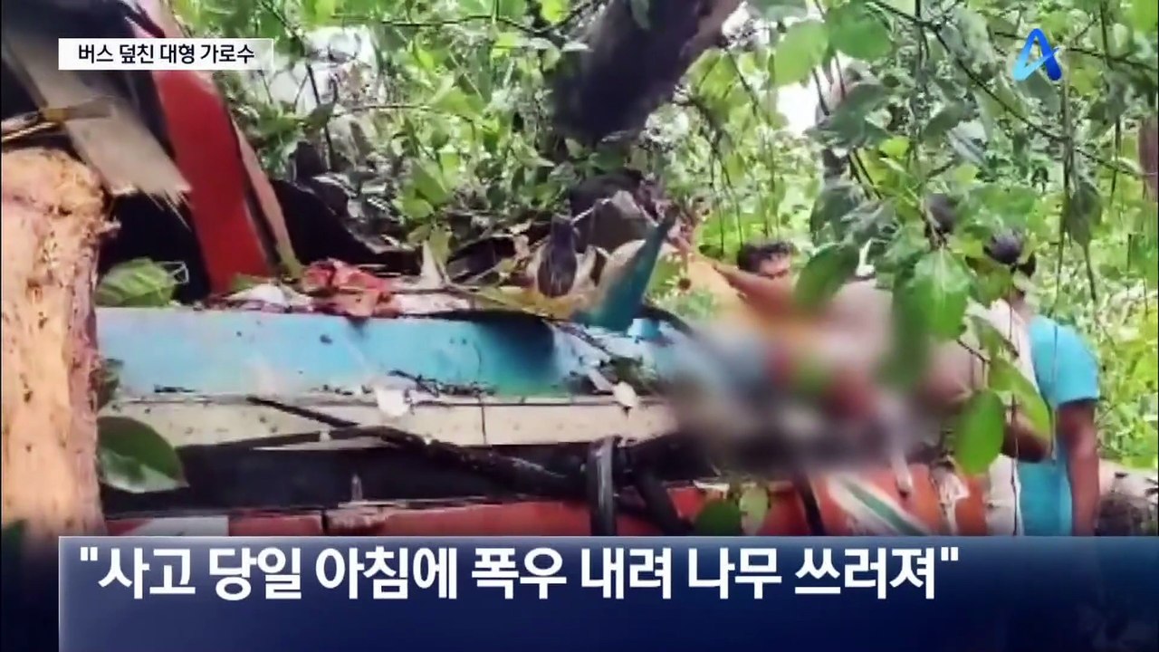 버스 덮친 대형 가로수…5명 사망