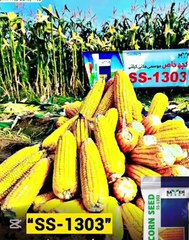 SS-1303 Best Maize Seed
