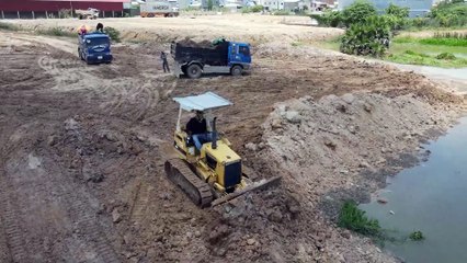Clearing Lake Lotus and Land Filling by Amazing Bulldozer Komatsu Best Amazing Updating Project