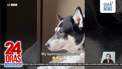 Sawa sa motorsiklo; Pamamaril sa Times Square; Aso ni Heart Evangelista, tinamaan ng Leptospirosis; atbp. | 24 Oras Weekend