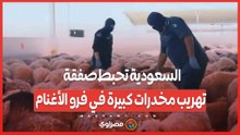 السعودية تحبط صفقة تهريب مخدرات كبيرة في فرو الأغنام