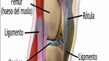 Cómo aliviar el dolor de rodilla rápido y de forma natural