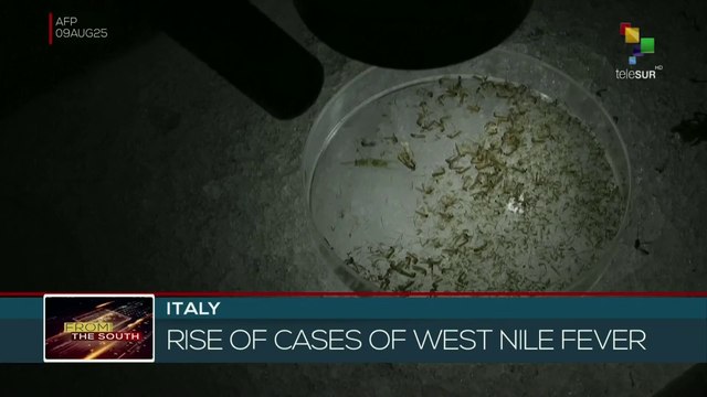 Italy | 173 West Nile fever infection cases reported