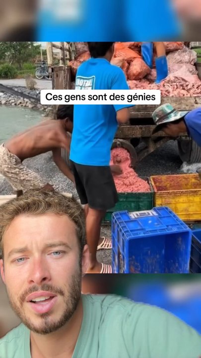 Ce sont des génies