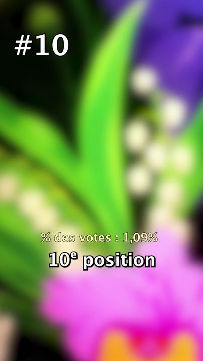 Top 10 des persos de la commu !