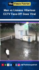 Man vs Lioness: Hilarious CCTV Face-Off Goes Viral