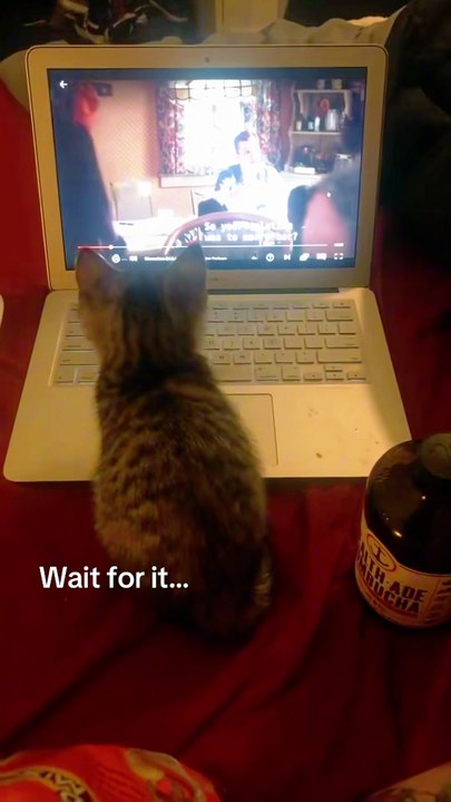 She understood the assignment... and the Englis...