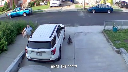 Best Fails of the Week!  Try Not to Laugh Challenege! 🤣 - FailArmy