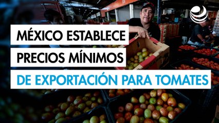México establece precios mínimos de exportación para el tomate fresco