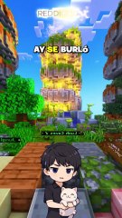 dijo que nunca podria pagarle su bolso caro pero..