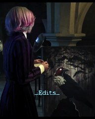 Wednesday & Xavier II: A Mysterious Raven 🎨