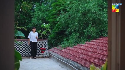 Judwa_ Episode 17 / Pakistani drama / HUM TV