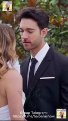 La Virgen Y El Millonario Completo S Shorttv