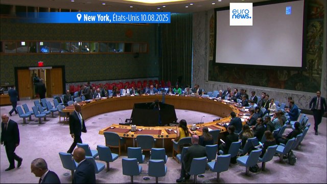 Le Conseil de sécurité des Nations unies se réunit en session d'urgence sur la crise humanitaire à Gaza