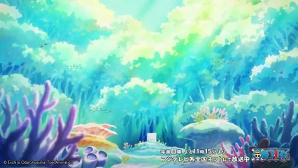 One Piece - Opening 28 | CARMINE