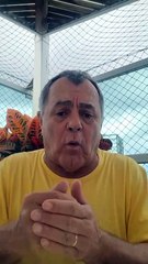 VAR - erro claro - Fortaleza x Botafogo e CRB x Cruzeiro