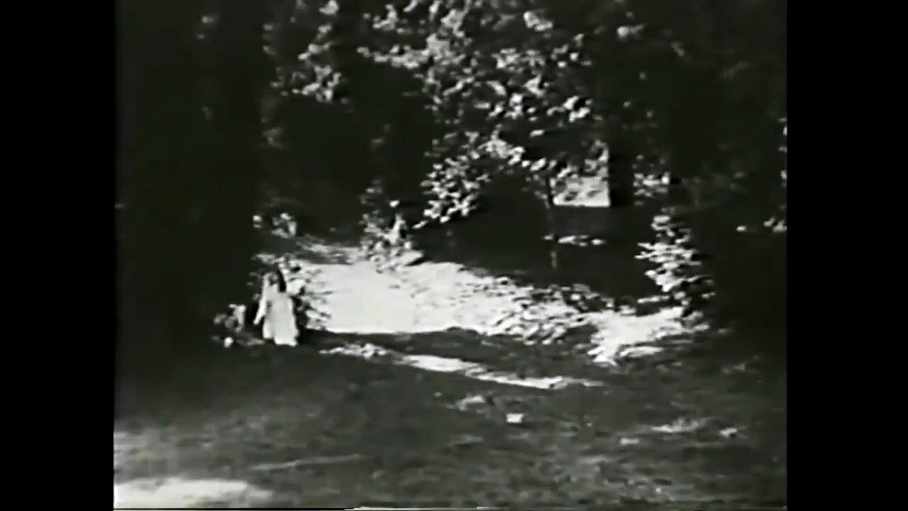 Babes in the Woods (1917) - Full movie