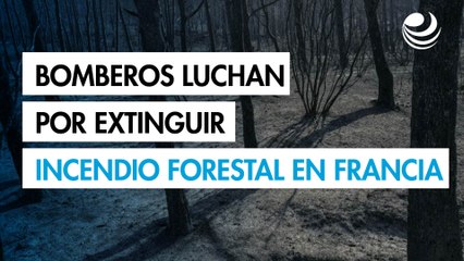 Bomberos luchan por extinguir gran incendio forestal en Francia