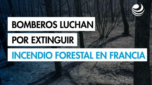 Bomberos luchan por extinguir gran incendio forestal en Francia