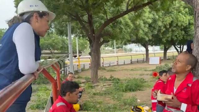Indigo: un proyecto creado por una mujer para brindar oportunidades laborales