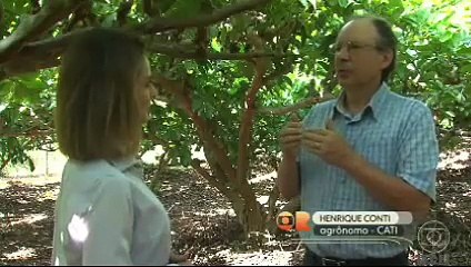 GLOBO RURAL 10.08.2025