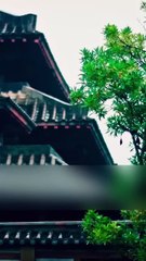 Just As She Moved On… Her First Love Came Back