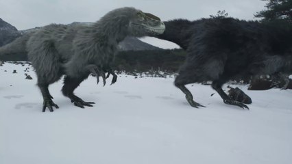 Ancient Earth - S2 E2 The Mystery Of The Feathered Dragons