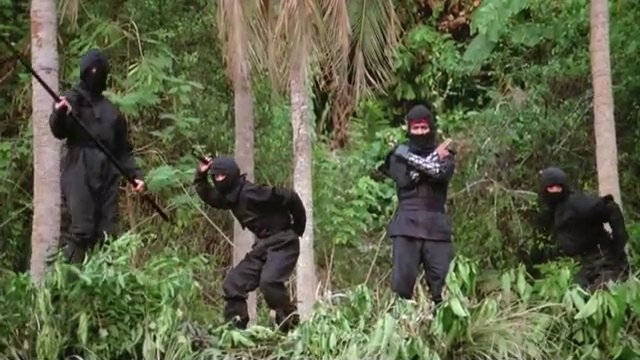 American Ninja (1985)