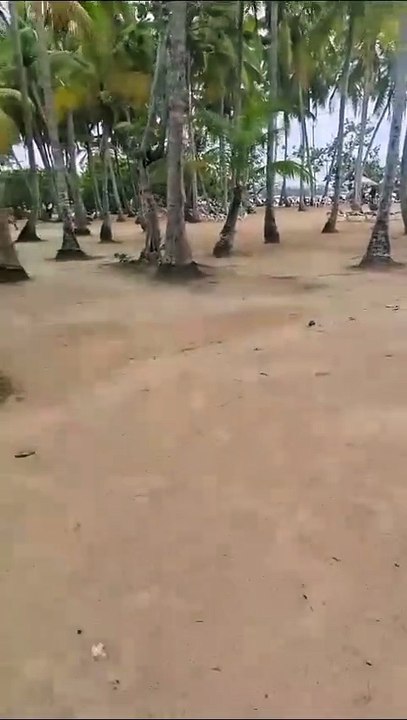 PLAYA PUNTA POPI LAS TERRENAS DE SAMANA REPUBLICA DOMINIVANA.